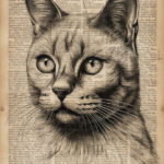 a cat portrait, airy, pin-up, sci-fi, very deitaled, realistic, fineart, line draw, vintage page dictionary